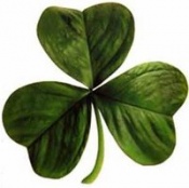 Shamrock Activist Value Fund